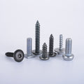 Custom Titanium Aluminum Stainless Steel Machine Screw